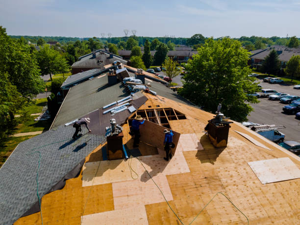 Best Residential Roofing Contractor  in Hancock, MI