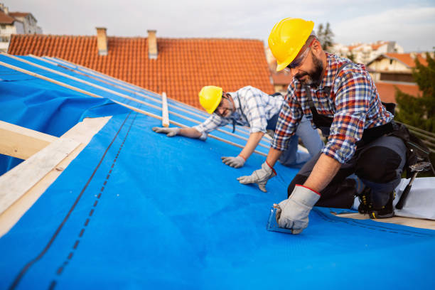 Best Roof Gutter Cleaning  in Hancock, MI