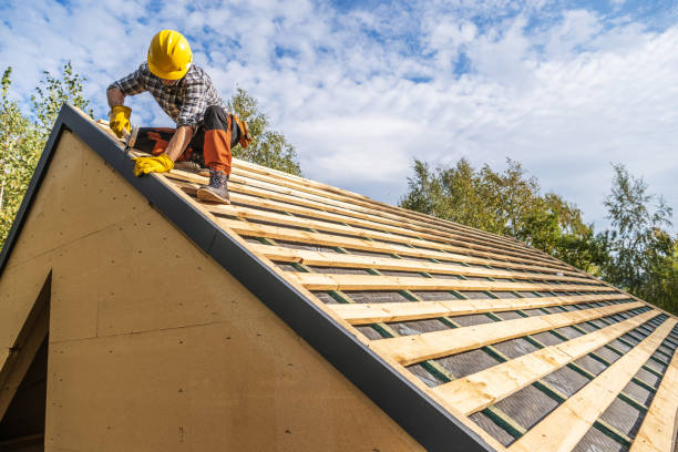 Best Sealant for Roof  in Hancock, MI